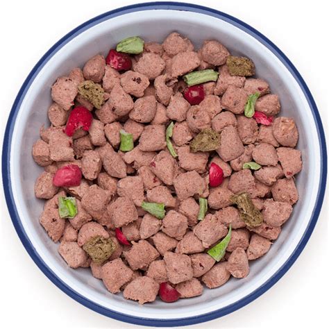 Best Dry Dog Food: Our Top 7 Kibble Brands in 2024