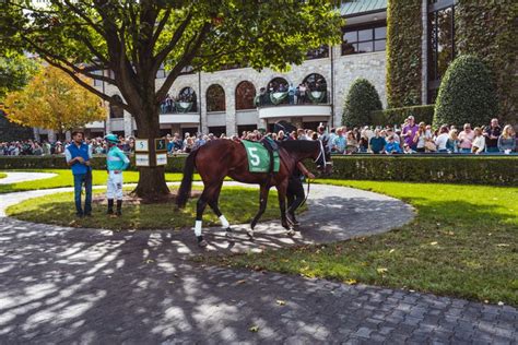 The 6 Best Horse Farm Tours in Lexington, Kentucky