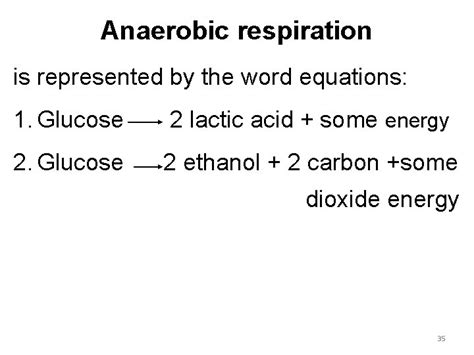 Simple Anaerobic Respiration In Bacteria Equation Math Aa Sl Formula ...