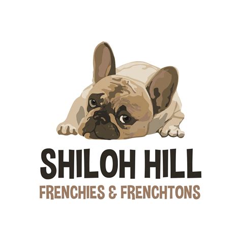 French Bulldog & Frenchton Breeders | Shiloh Hill Frenchies And Frenchtons