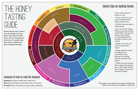 Honey Varietals - Hummingbird Wholesale