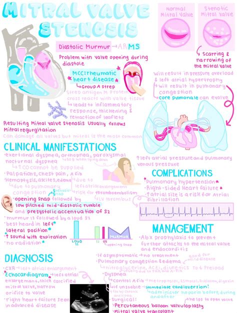 Aesthetic Medical Study Notes | Nursing school motivation, Nursing ...