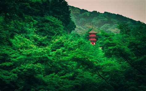 Download wallpaper 2560x1600 pagoda, trees, forest widescreen 16:10 hd ...