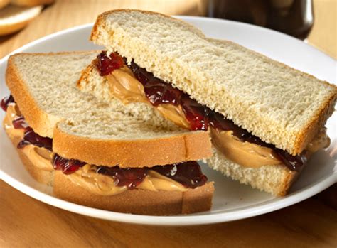 PB and J Day | Biocircuits Outreach