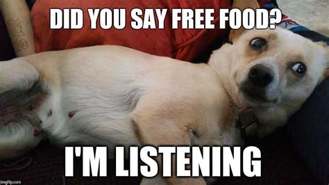 50 Funny Memes For Anyone Who Loves Food, Eating, And Dreaming About Food