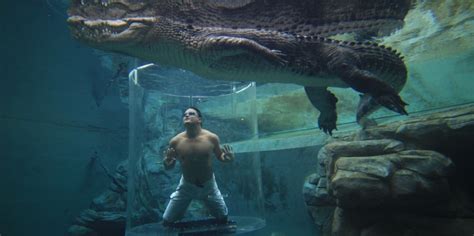 Crocosaurus Cove Cage of Death, Darwin - Everything Australia