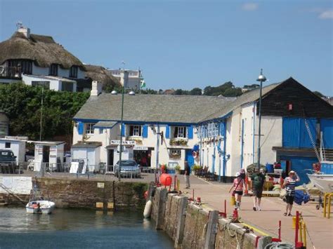 Harbour Lights, Paignton - Restaurant Reviews & Photos - TripAdvisor