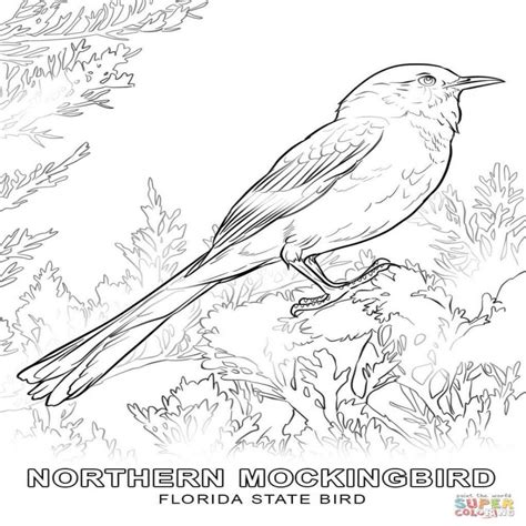 Florida State Bird Coloring Page - Https Encrypted Tbn0 Gstatic Com ...