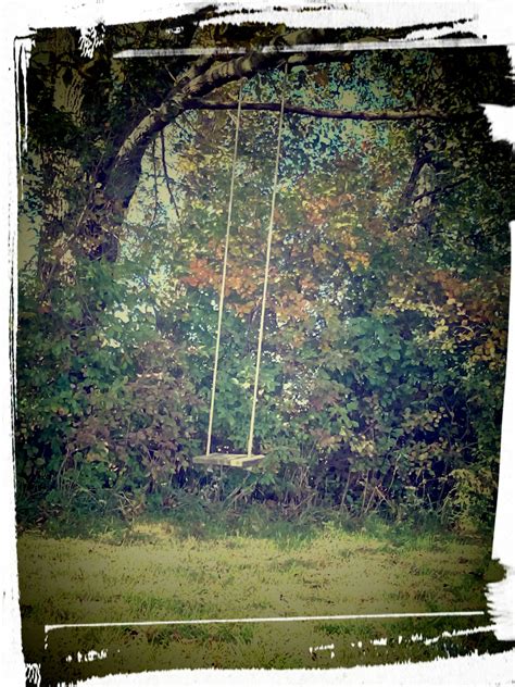 Tree Swing in Backyard