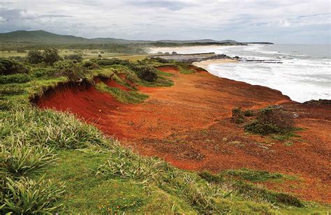 Red Cliffs, Yuraygir National Park. Photo: Rob Cleary | National parks, Beach camping, Summer lake