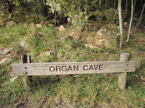 Abbey Caves (Whangarei) - 2020 All You Need to Know Before You Go (with Photos) - Whangarei, New ...