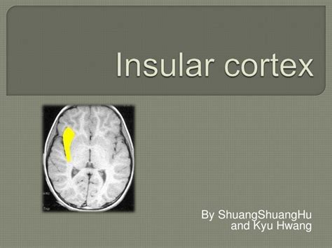 The Insular Cortex