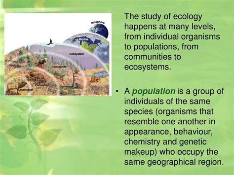 PPT - Population Ecology PowerPoint Presentation, free download - ID:2970861