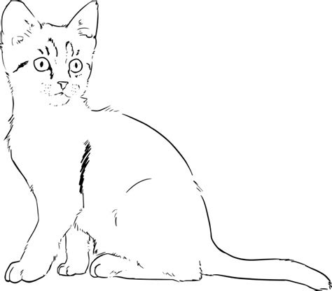 Kitten Lineart Drawing Free Stock Photo - Public Domain Pictures