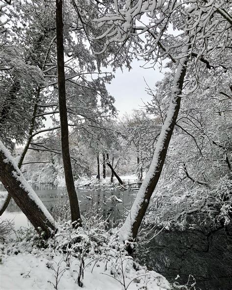 Magical Snowy Christmas in London — Studio Dahl Interiors