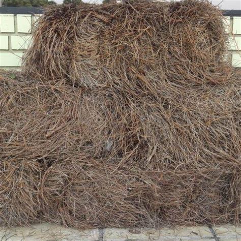 Pine Straw Bales - Southern Landscaping Materials