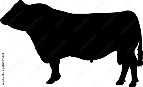 Red Angus Cow Vector Silhouette Stock Vector | Adobe Stock