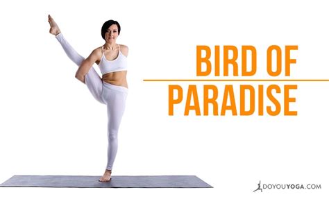 How to Do Svarga Dvijasana: Bird of Paradise Pose - DoYou