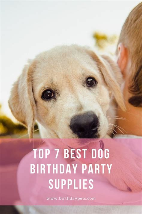 Top 7 Best Dog Birthday Party Supplies | Birthday Pets