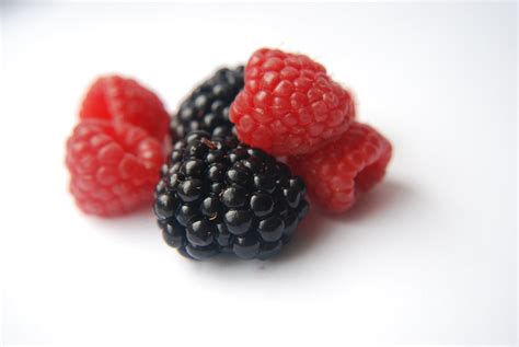 berries | Faith Raider | Flickr
