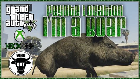 GTA 5 Online Xbox One "GTA V Play As A Wild Boar & Rare Animals Peyote ...