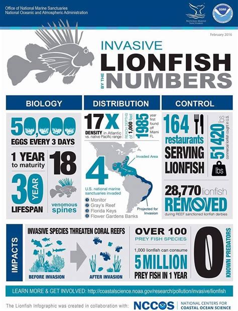 Lionfish: By The Numbers | California Diver Magazine