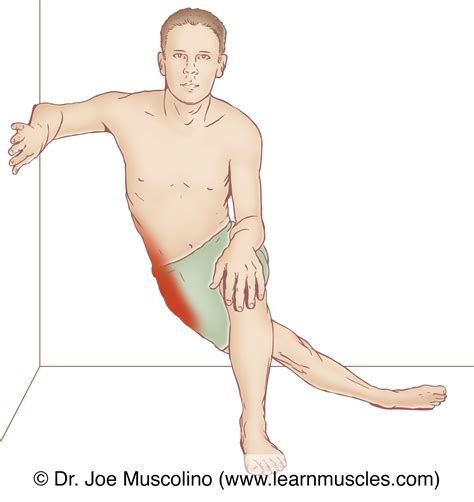 Gluteus Minimus Stretch