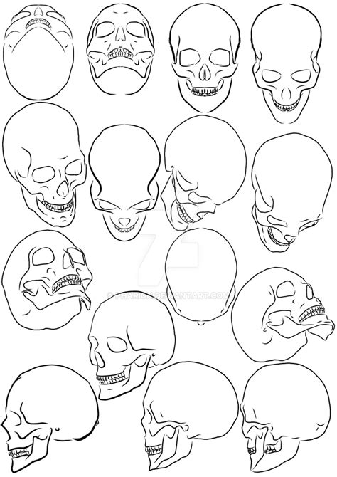 Skull Angle 2 by Pharion on DeviantArt