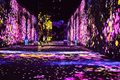 Mori Building Digital Art Museum: teamLab Borderless | Tokyo Cheapo