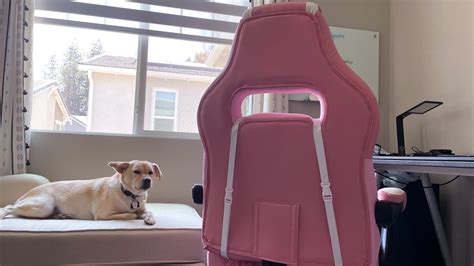 KILLABEE 9015 Series Massage Gaming Chair: sitting pretty — Sypnotix