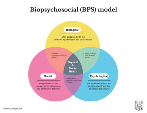 Three Aspects of Health and Healing: The Biopsychosocial Model in Medicine | Department of ...