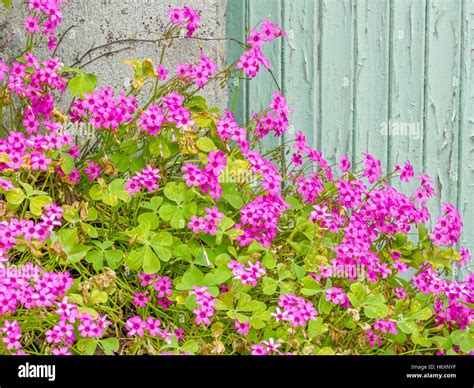 Brittany countryside, France Stock Photo - Alamy