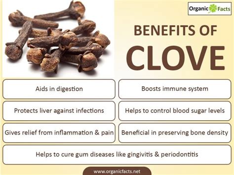 rainbowdiary: Health Benefits Of Cloves