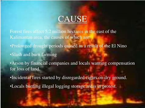 The Different Effects Of A Forest Fire On The Environment – FireSafeCouncil.org