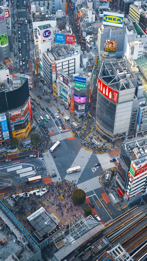 Shibuya crossing – Artofit