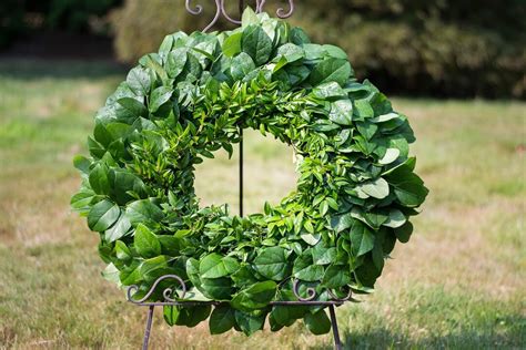 20 Salal & Huck Wreath, Lemon Leaf, Fresh Wreath, Western Greens, Wedding Decor, Wedding Wreath ...