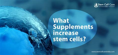 What Supplements Increase Stem Cells?