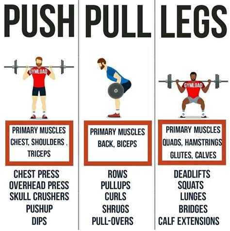 Pin by Daniela on full body workout | Push pull legs, Muscle groups to workout, Push pull workout