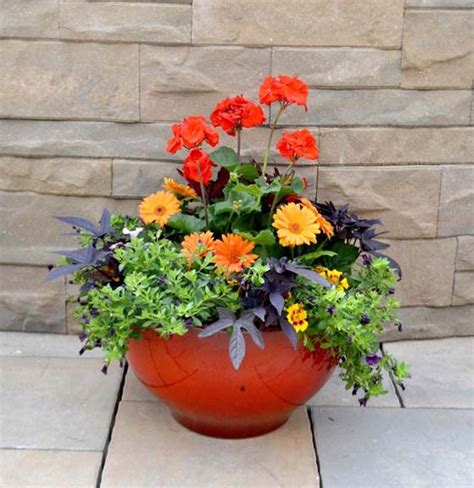 "Smiles" Bachman's Plant by Numbers Spring 2012 | Plants, Container gardening, Garden plants