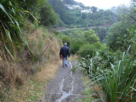 Finding friendship among the weeds - News and information - Wellington City Council