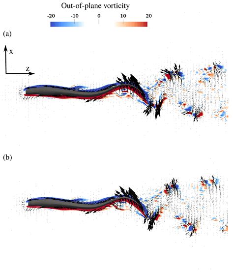 Biomimetics | Free Full-Text | The Ground Effect in Anguilliform Swimming