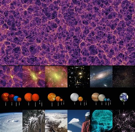 The Universe Is A Brain : woahdude