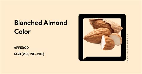 Blanched Almond color hex code is #FFEBCD