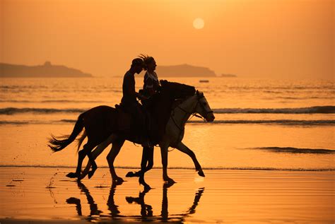 Amigos Sunset Beach Horseback Riding Tour - Los Cabos Passport