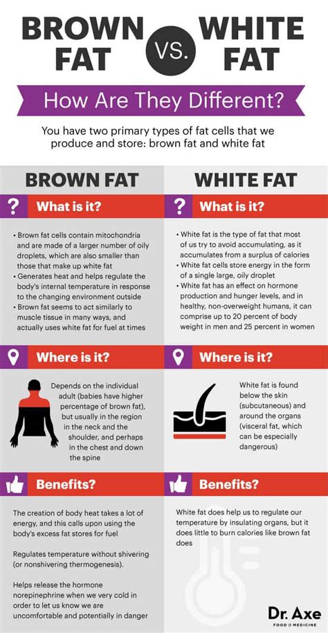 Increase Your Brown Fat to Maintain a Healthy Body Weight