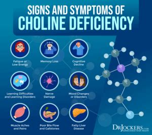 Choline: Signs of Deficiency, Benefits, and Food Sources