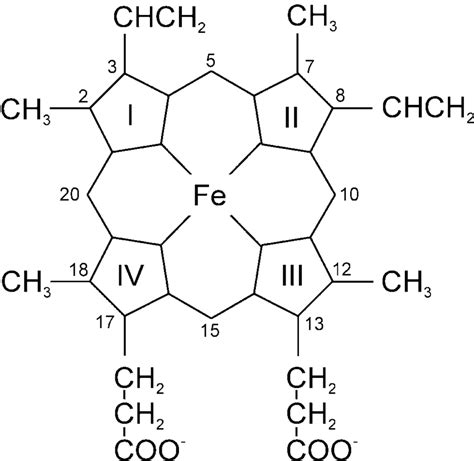 Structure of iron protoporphyrin IX. The numbering used in this paper... | Download Scientific ...