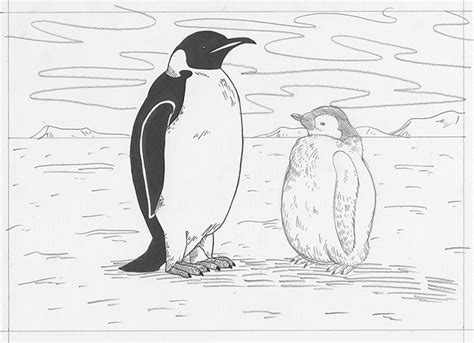 How To Draw A Realistic Penguin Step By Step For Kids