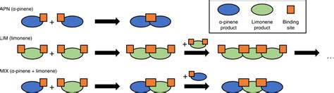 Schematic of oligomerization processes in single- and multi-precursor ...