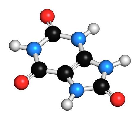 Uric Acid Molecule Photograph by Molekuul/science Photo Library | Fine ...